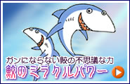 鮫のミラクルパワー